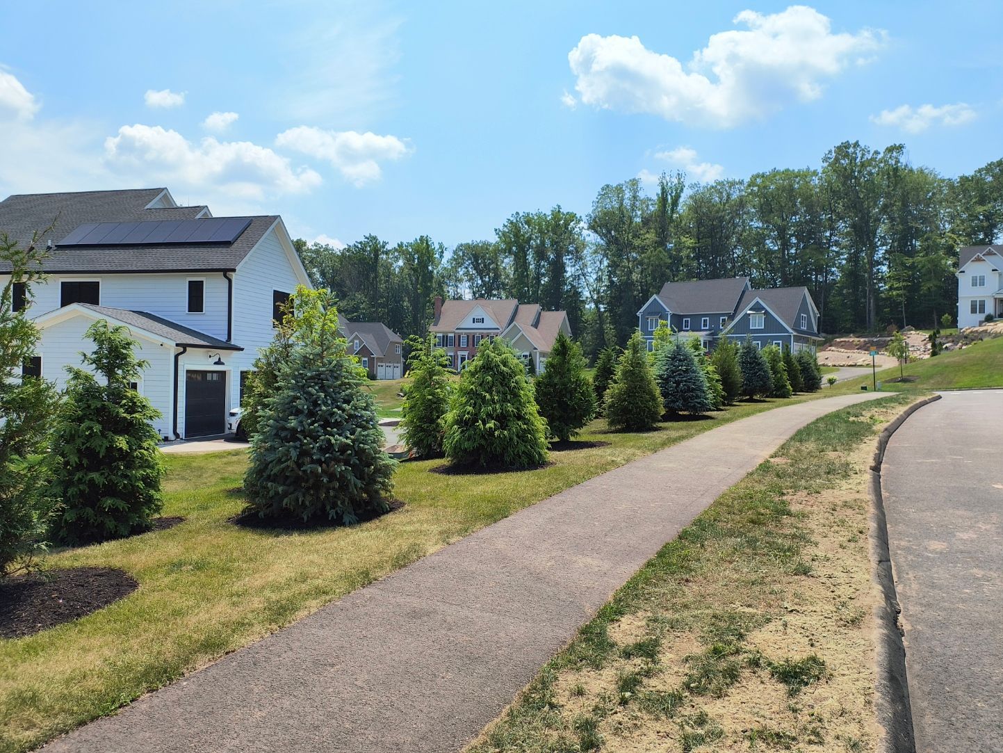 A paved pathway winds through a residential neighborhood with houses and trees under a sunny sky.
