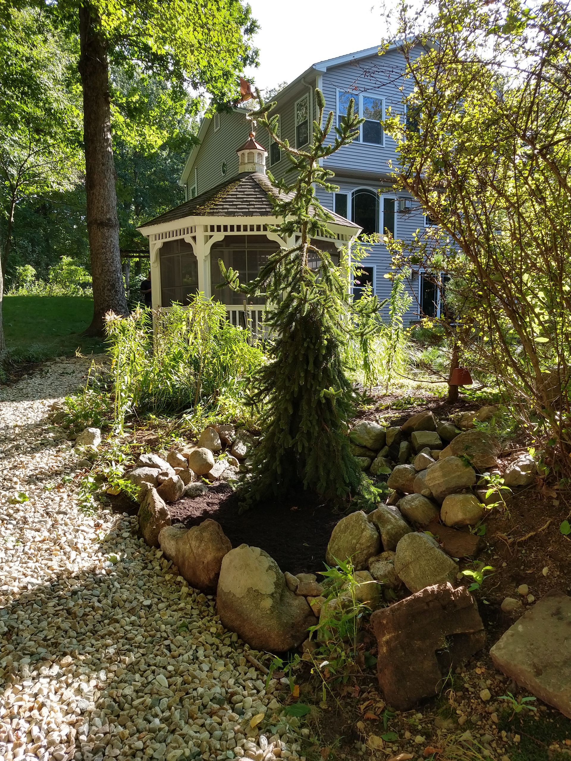 Gazebo in a garden setting, with a small tree in the foreground and a house in the background.