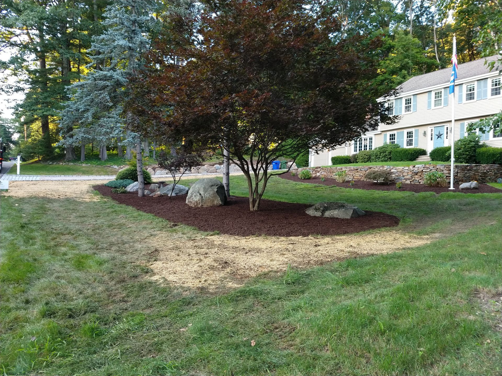 Landscaped yard with tree and mulch, house in background.