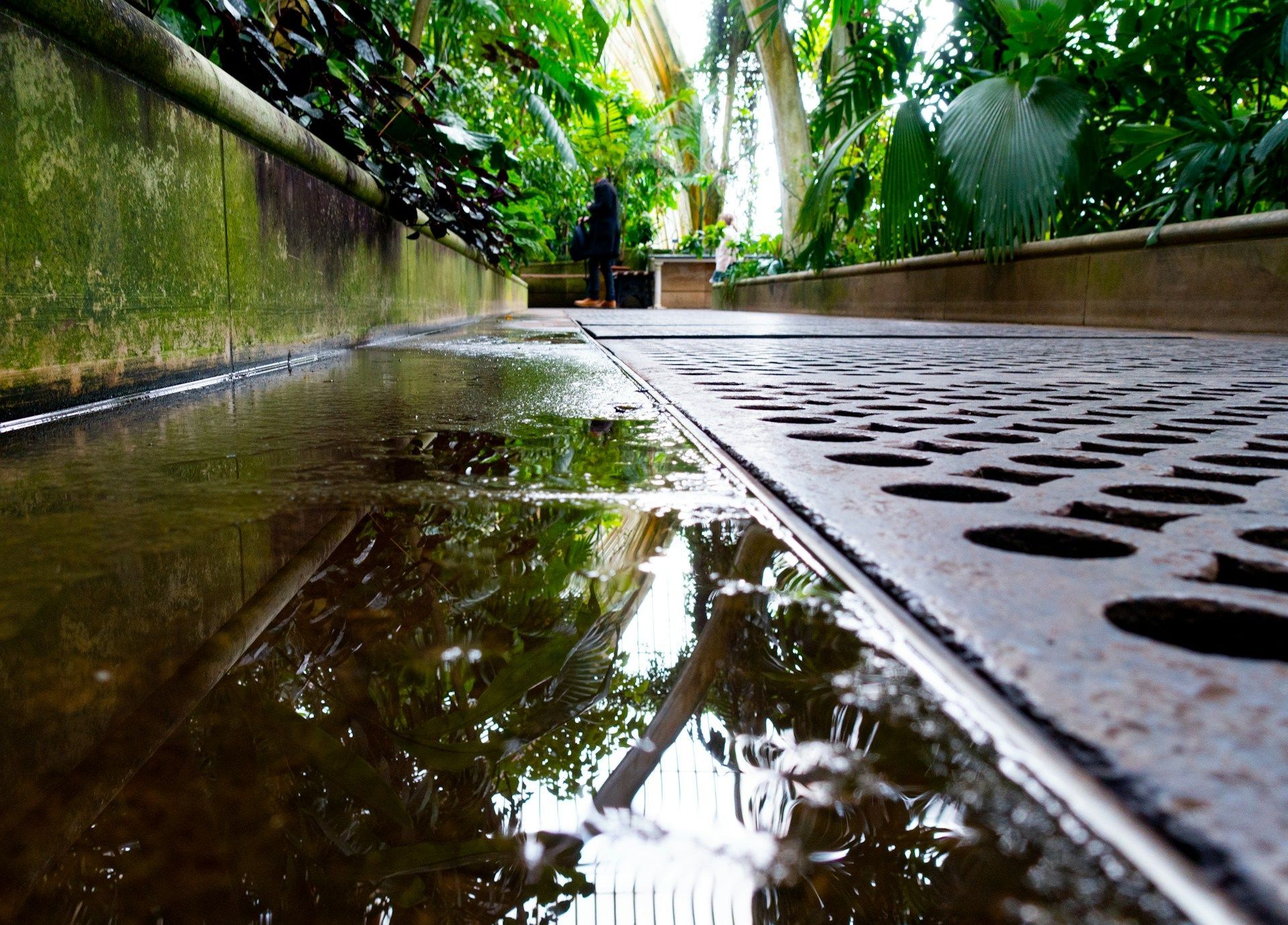 drains