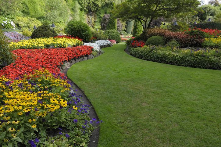 Curving green lawn path bordered by vibrant flowerbeds in a lush garden.