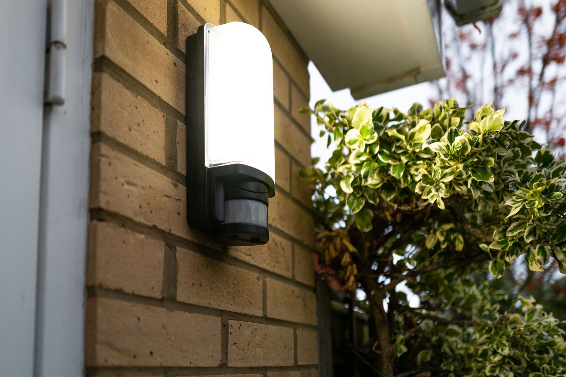 Courtyard light bulb