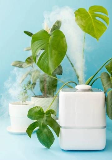 A white humidifier is sitting next to a potted plant.
