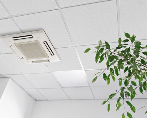 A white tiled ceiling with a plant growing out of it.