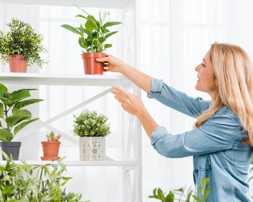A woman is taking a potted plant from a shelf.