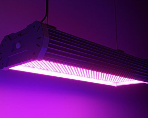 A purple light is hanging from the ceiling