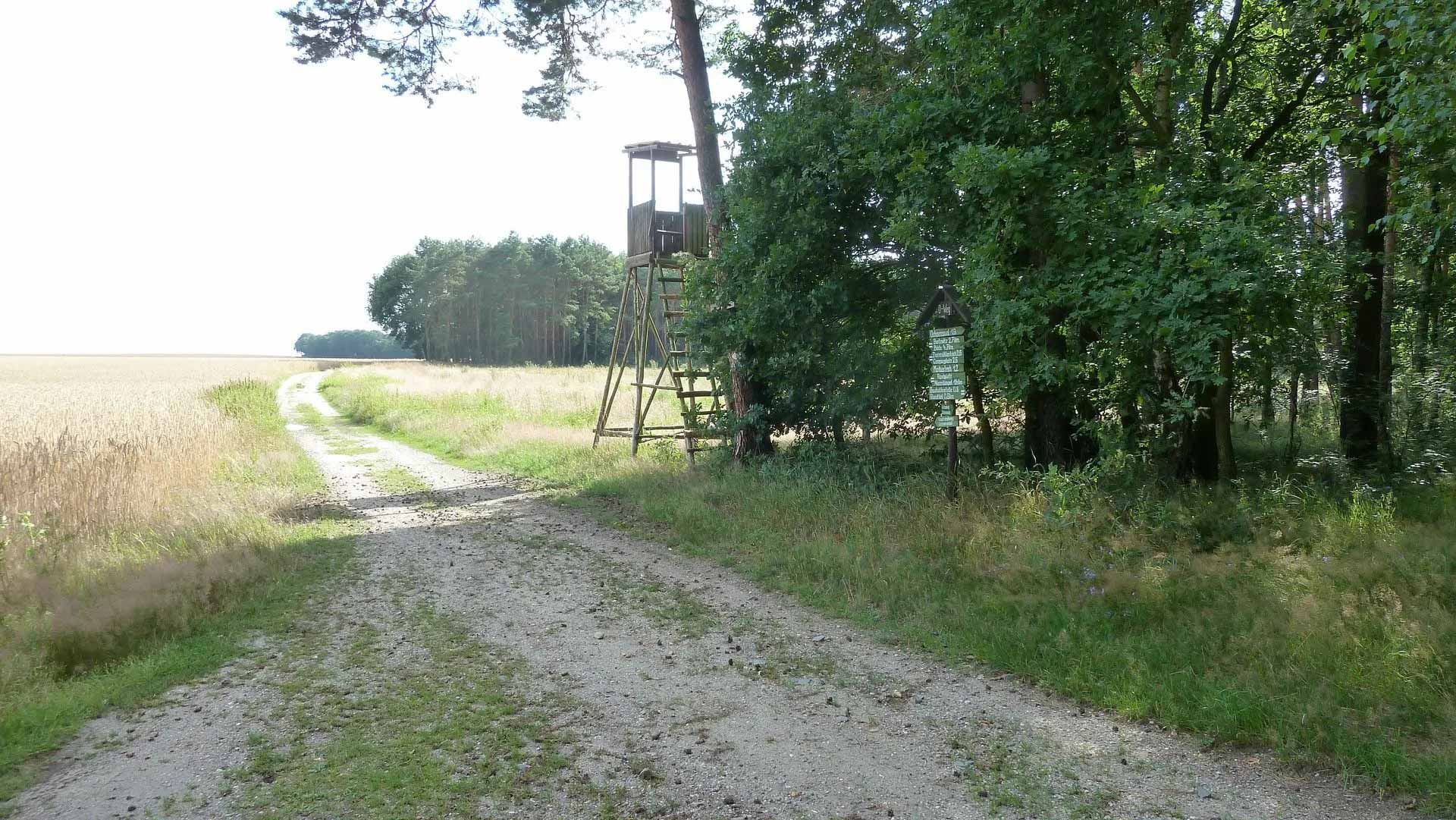 Feldweg