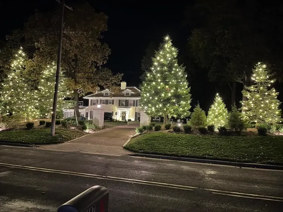 Holiday-lit house at night with glowing Christmas trees and a driveway in front