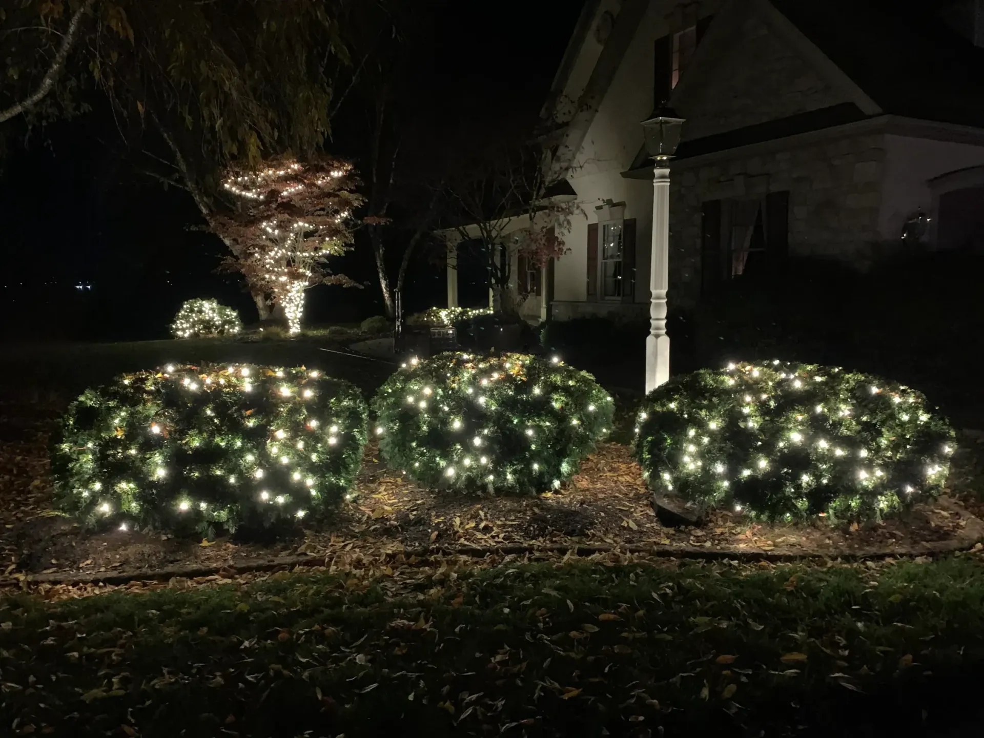 Christmas-lit shrubs in a dark front yard at night, with a house and tree in the background
