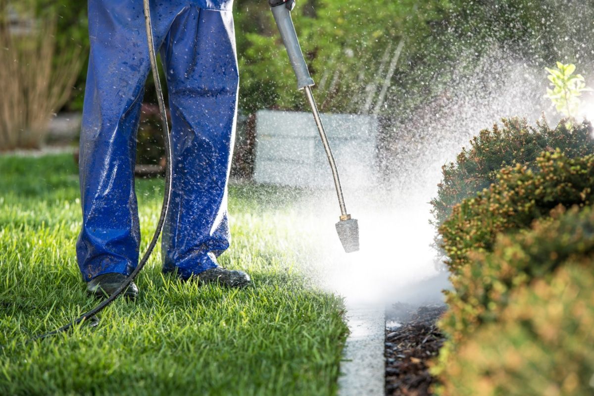 Person pressure-washing a garden edge beside green grass and shrubs