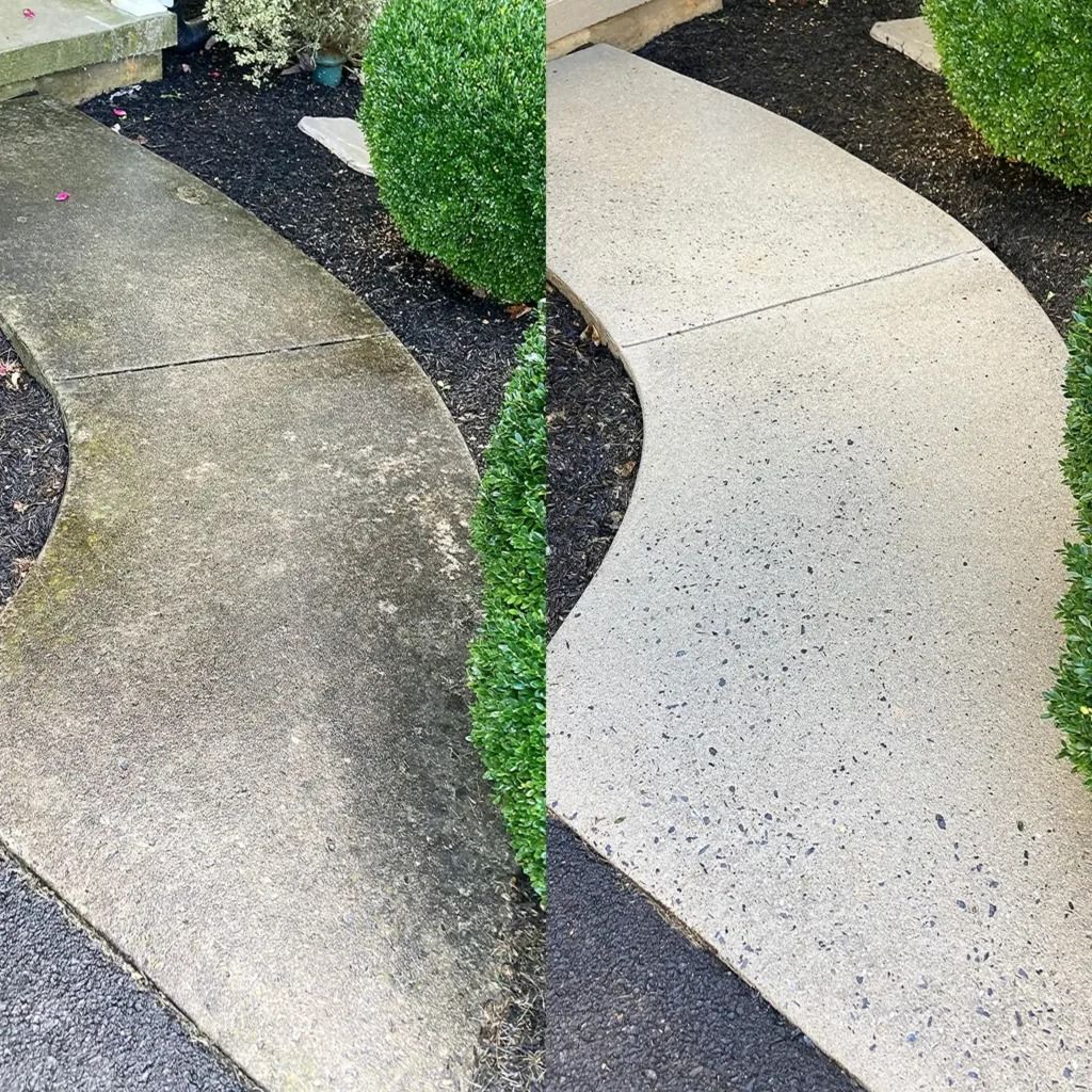 Curved concrete walkway slabs separated by grass and dark mulch in a garden path.