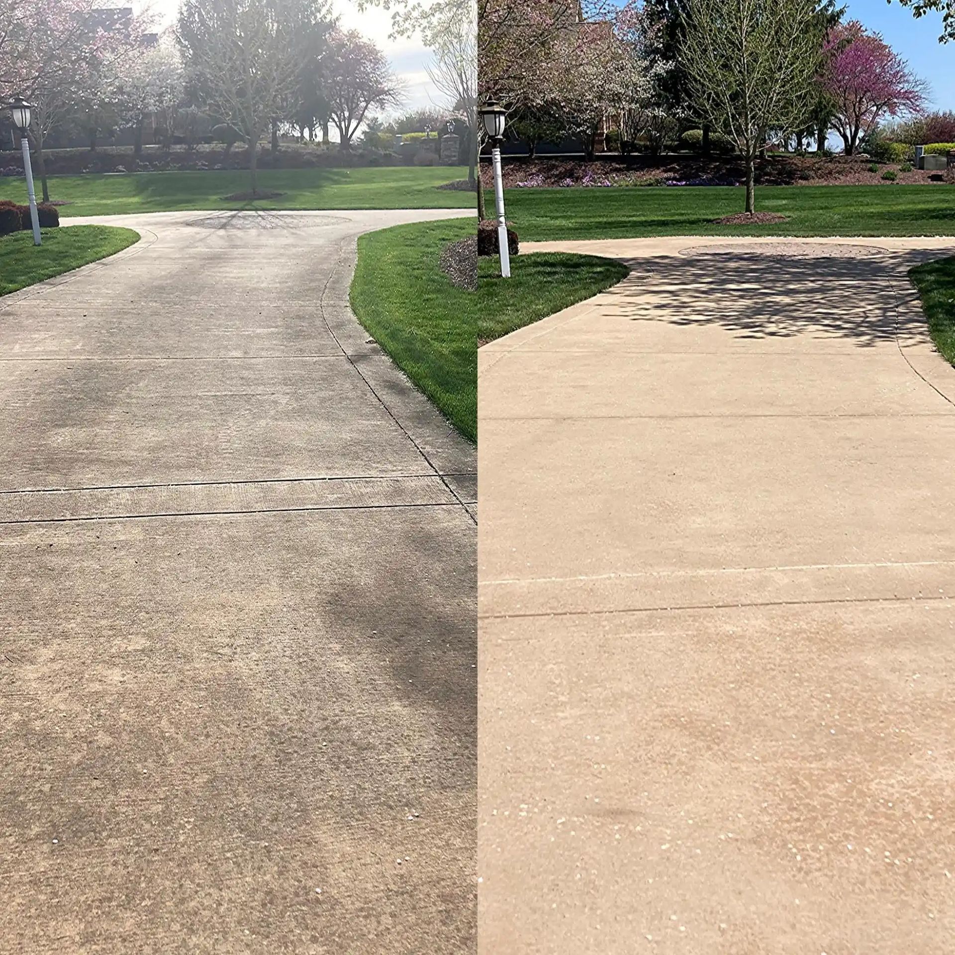 Split view of a curved sidewalk: rough concrete on the left, smooth tan pavement on the right, with trees ahead.