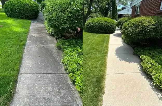 Side-by-side view of a cracked concrete sidewalk and a smoother paved walkway beside green shrubs and a house