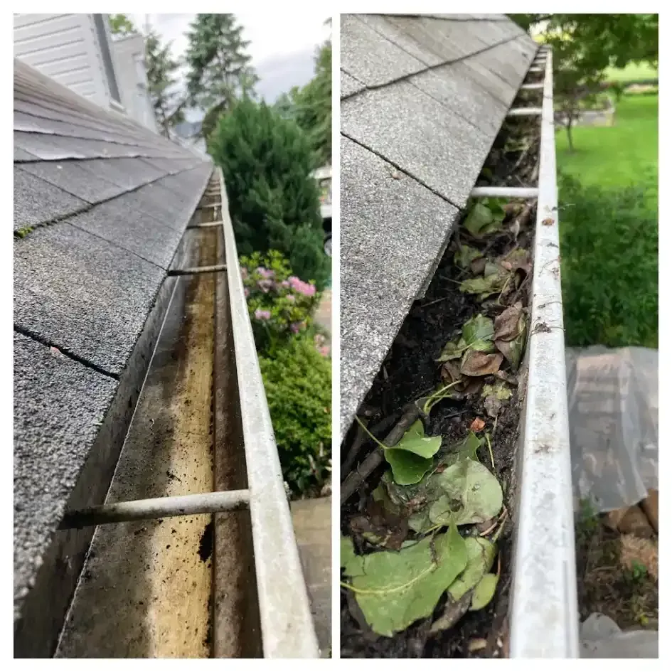 Gutter beside shingled roof with leaves and debris buildup, viewed from two angles