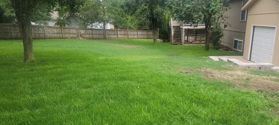 Green backyard with grass, trees, a wooden fence, and a house with a garage on the right.