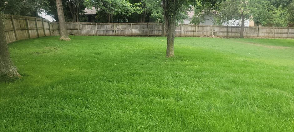 Lush green backyard lawn with trees and a wooden fence in the background