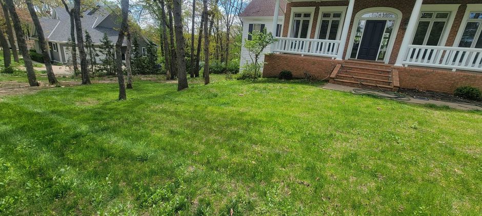 Grassy front yard with palm trees and a house porch in the background