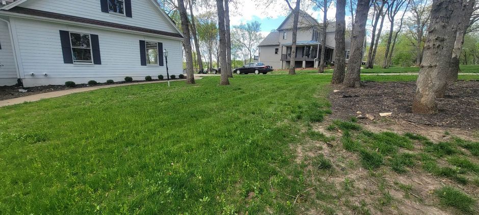 A grassy yard with two houses, trees, and a dirt path between them