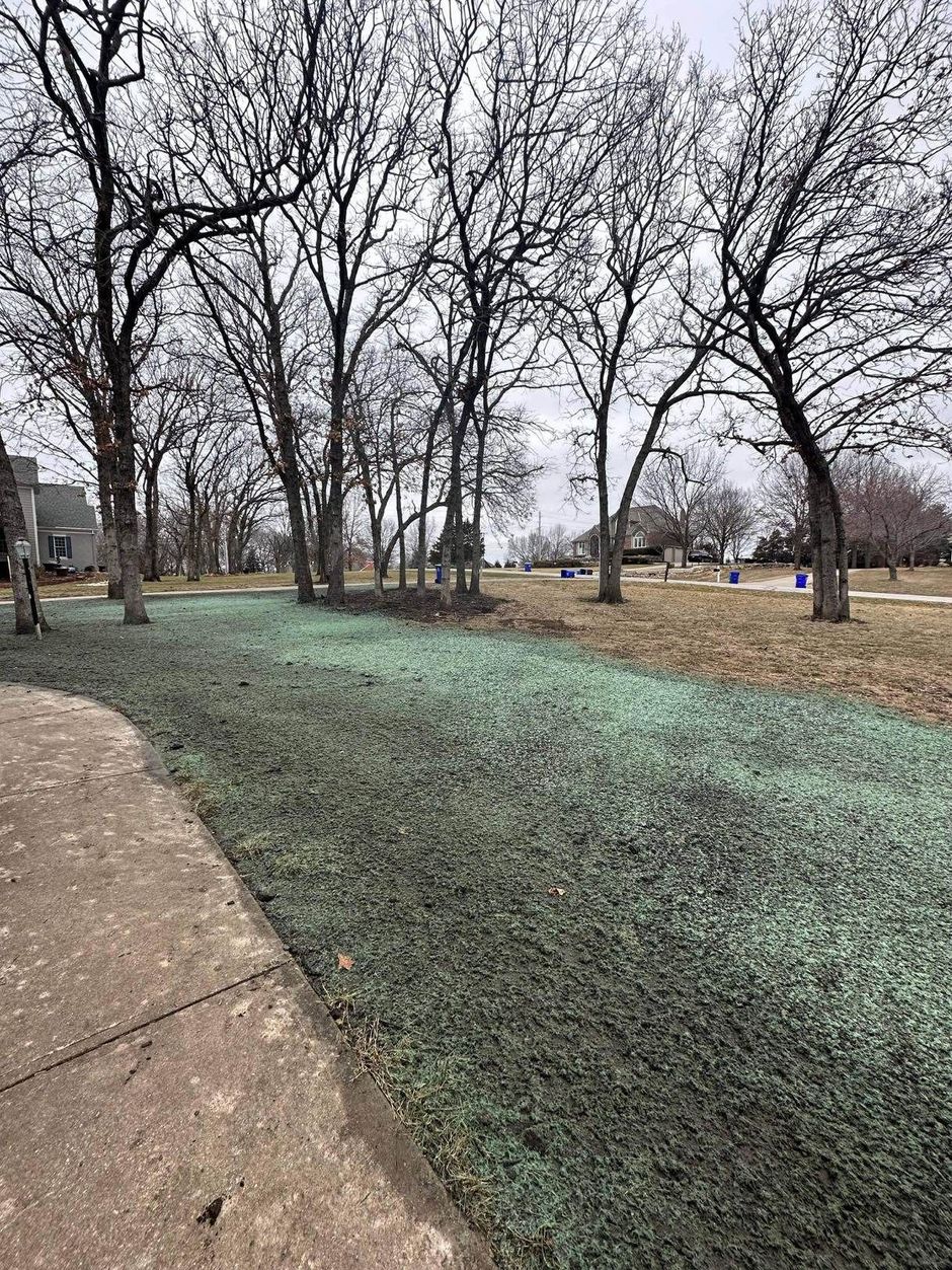 Park walkway beside leafless trees and a green ground cover on an overcast day