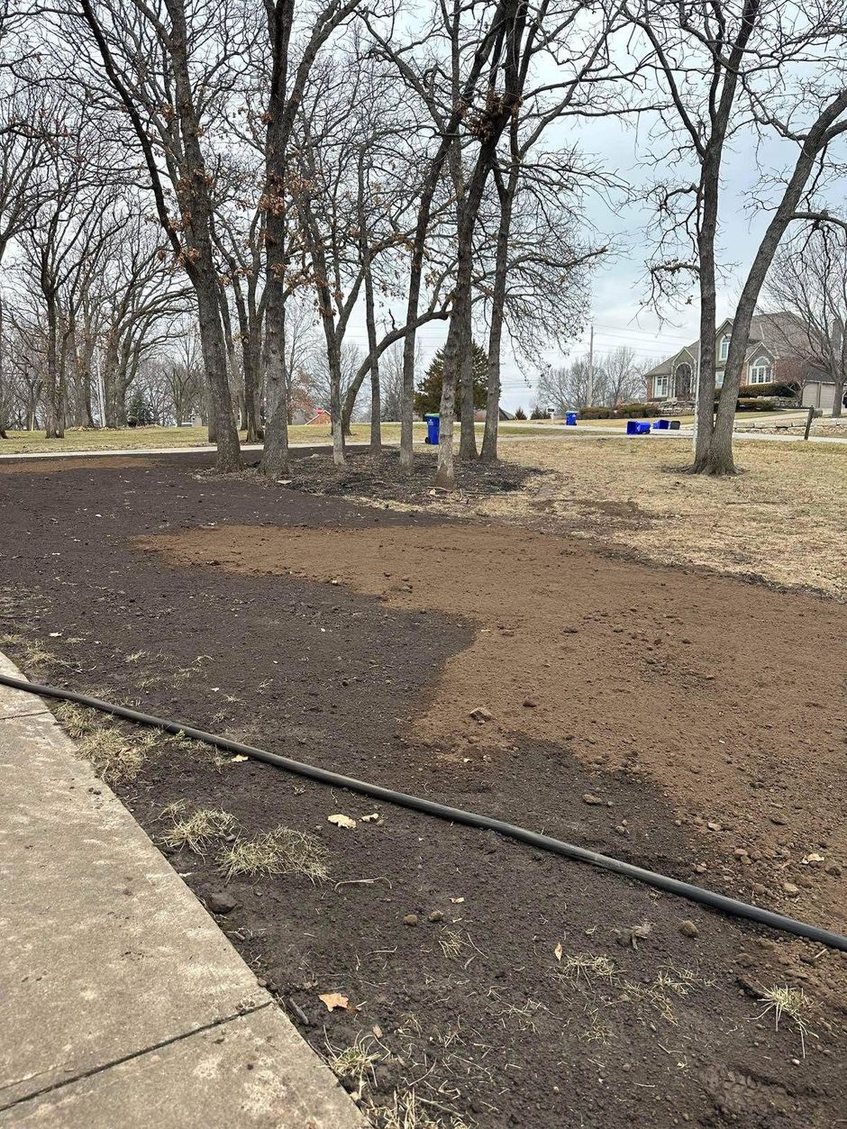 Leafless park area with mulch beds, concrete path, and scattered trees near houses