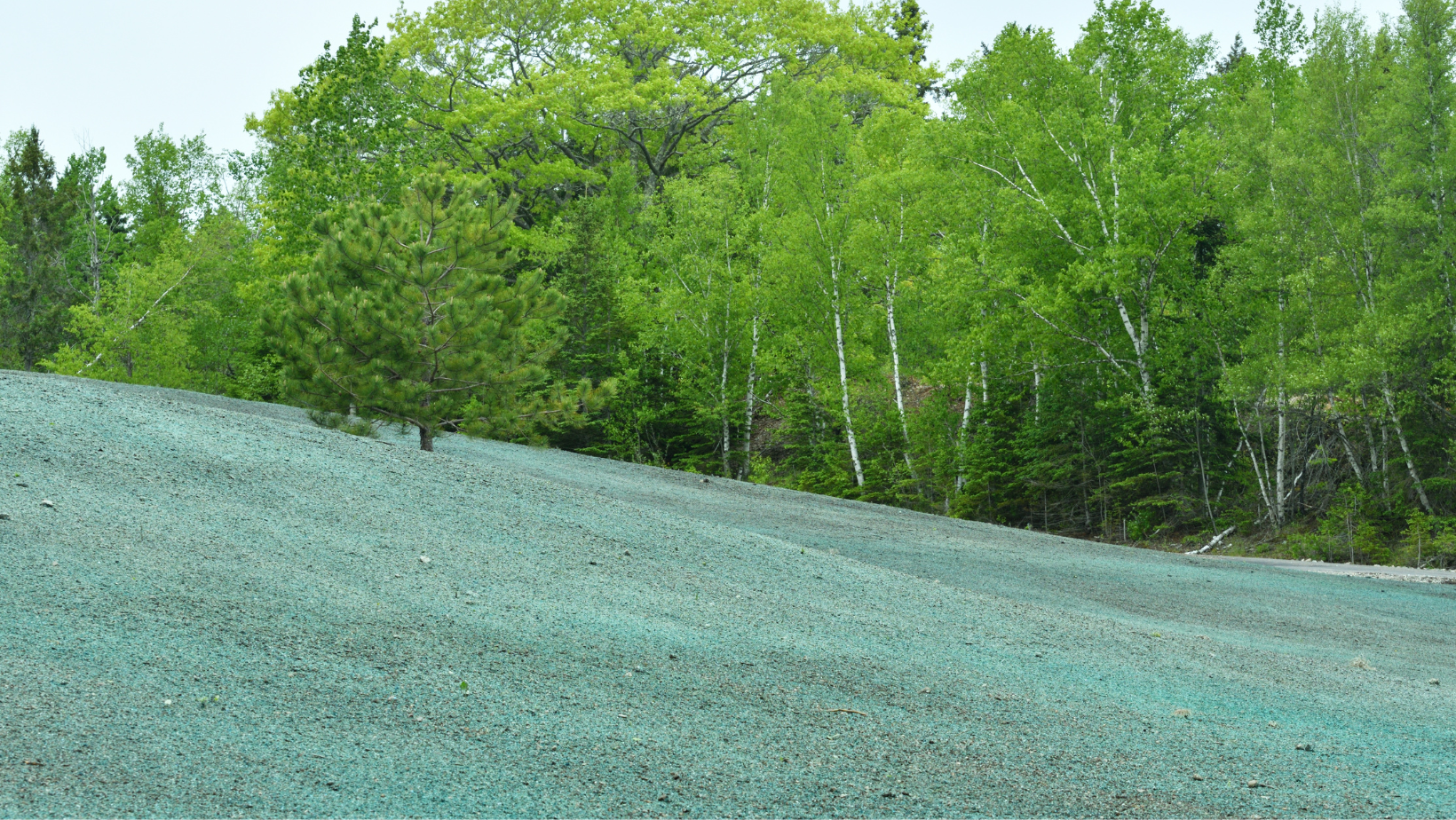 Green forest above a sloping blue gravel hillside