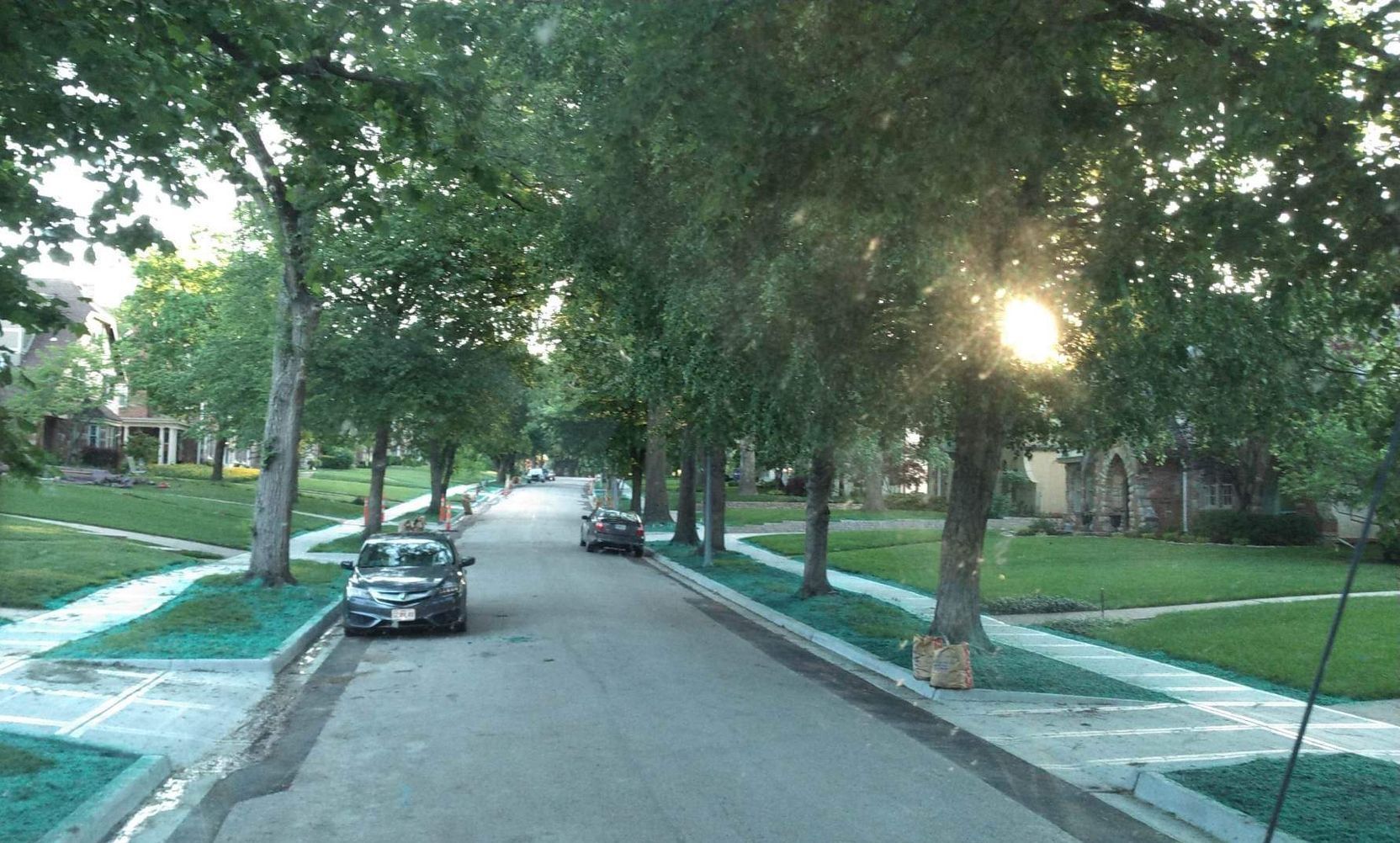 Tree-lined residential street with parked cars and sunlight filtering through the trees
