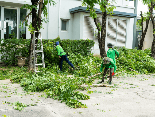 A group of people are pruning trees in front of a house