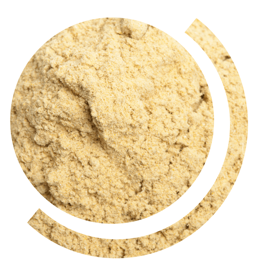 Dry Powder Blending & Manufacturing Henry Broch Foods