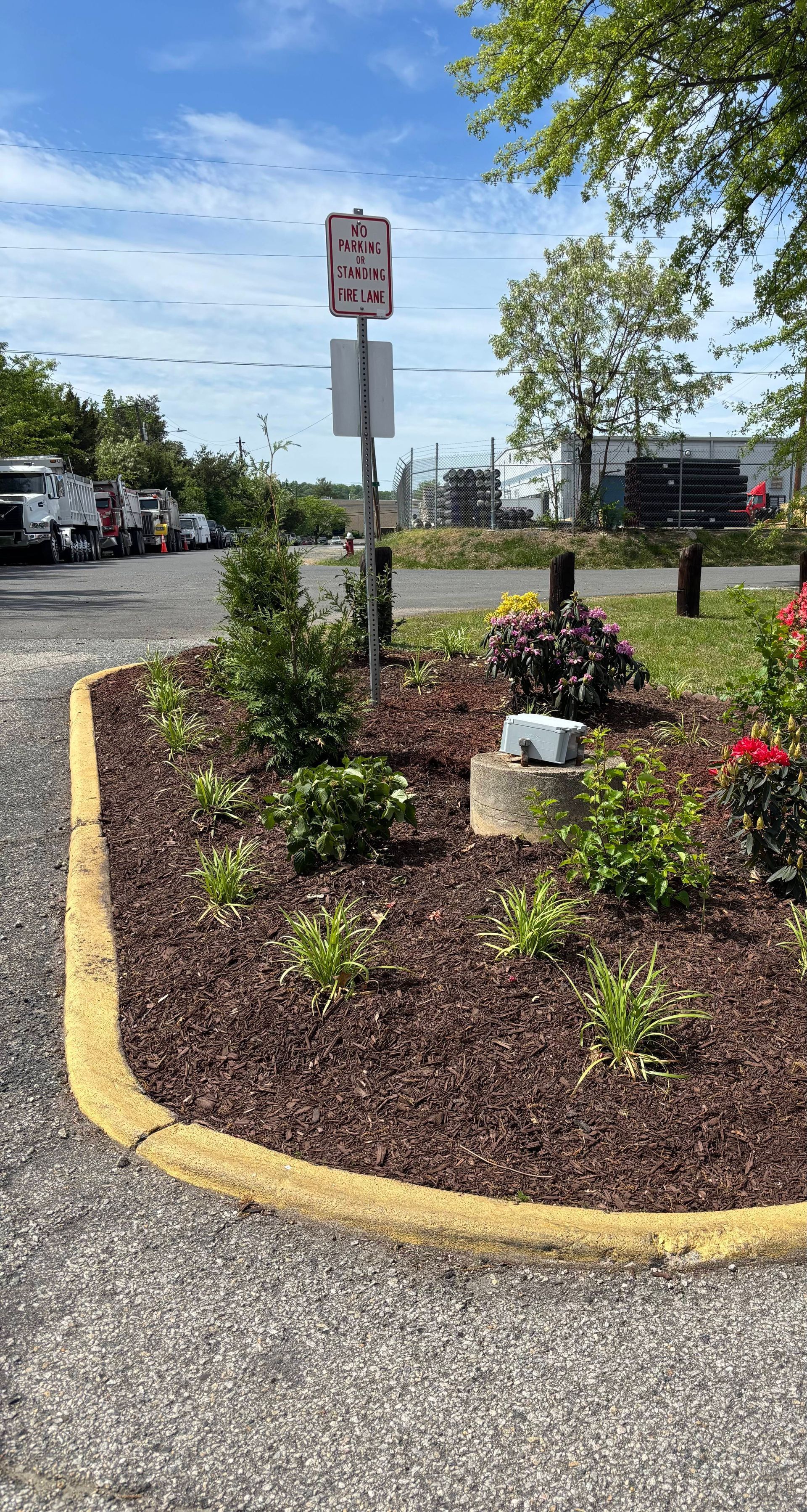 Landscaped parking lot island with shrubs, mulch, and a no parking sign beside parked cars.