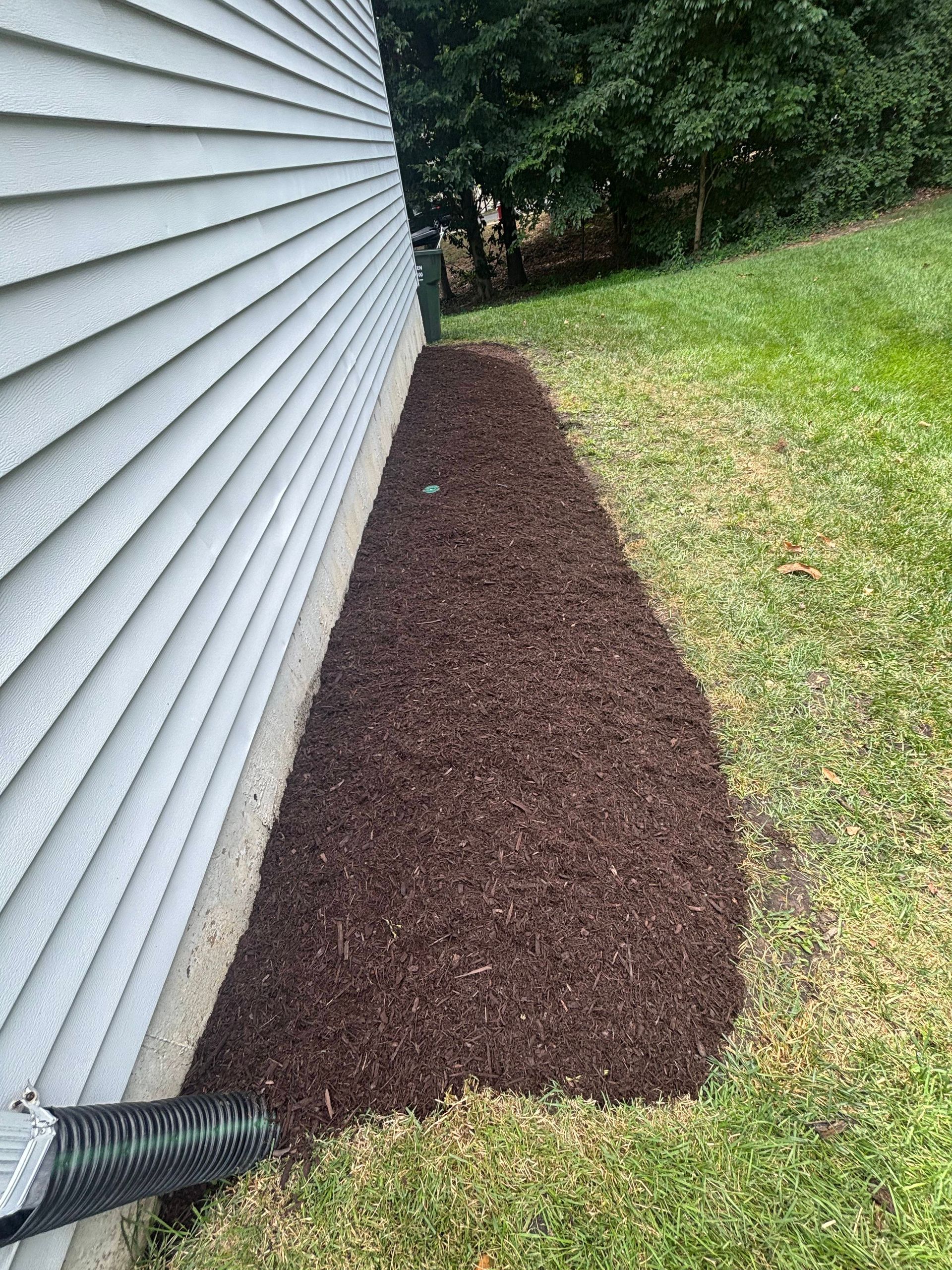 Fresh dark mulch bed along a white house siding beside a green lawn and trees.