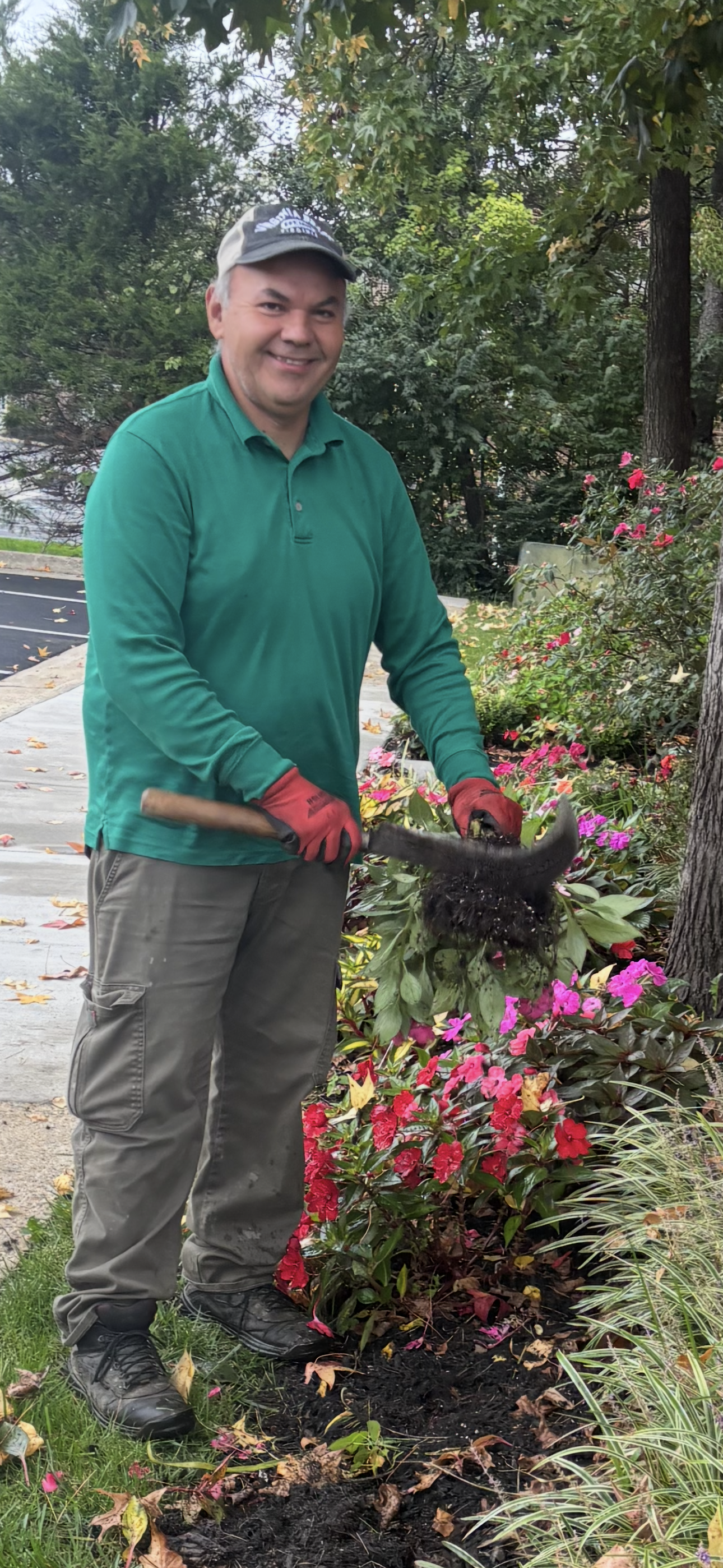 Man in green shirt and gloves gardening among pink flowers in a landscaped bed