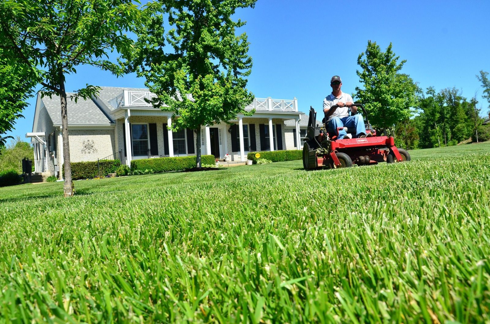 Person riding a red lawn mower on a green lawn in front of a white house on a sunny day