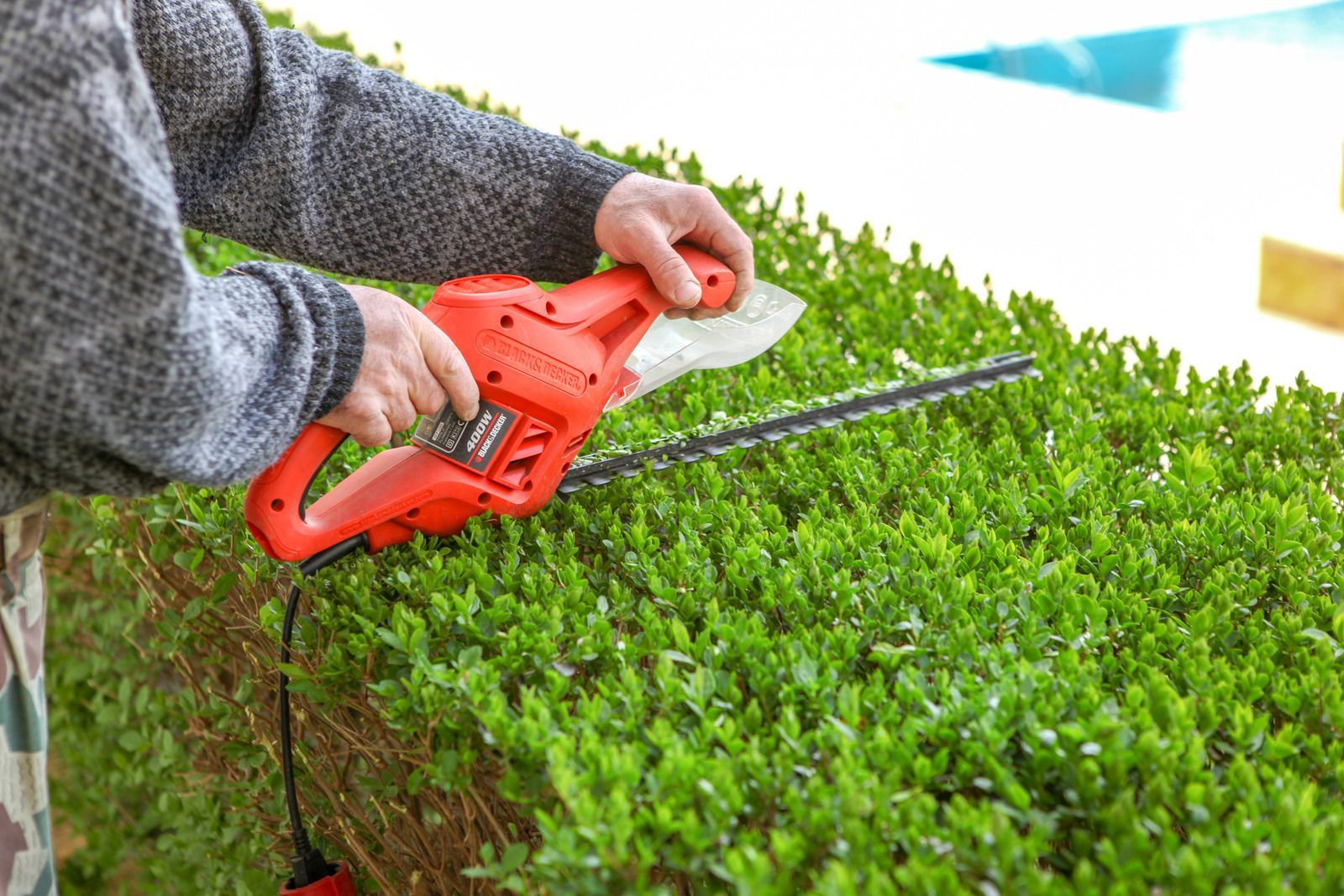 Person trimming a green hedge with an orange electric hedge trimmer outdoors