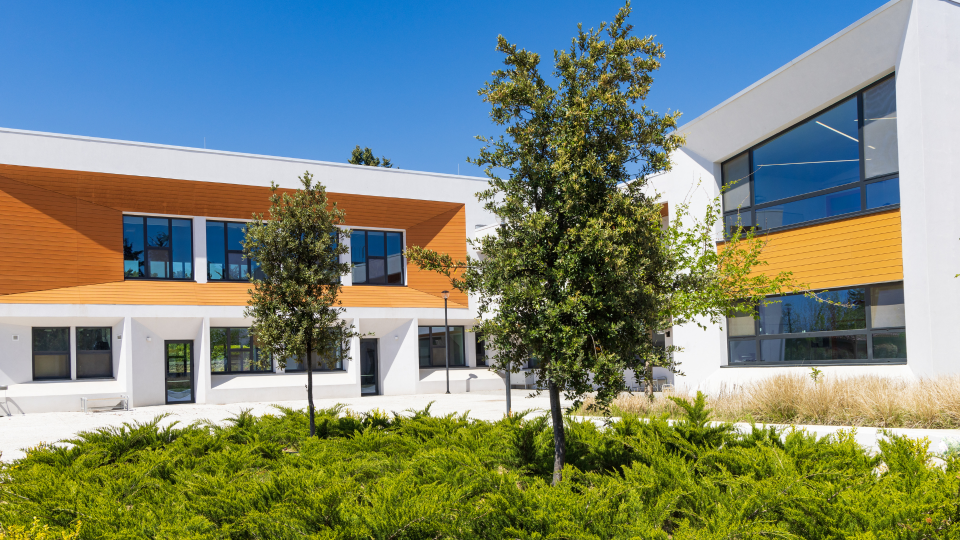 A large white building with a lot of windows and trees in front of it.