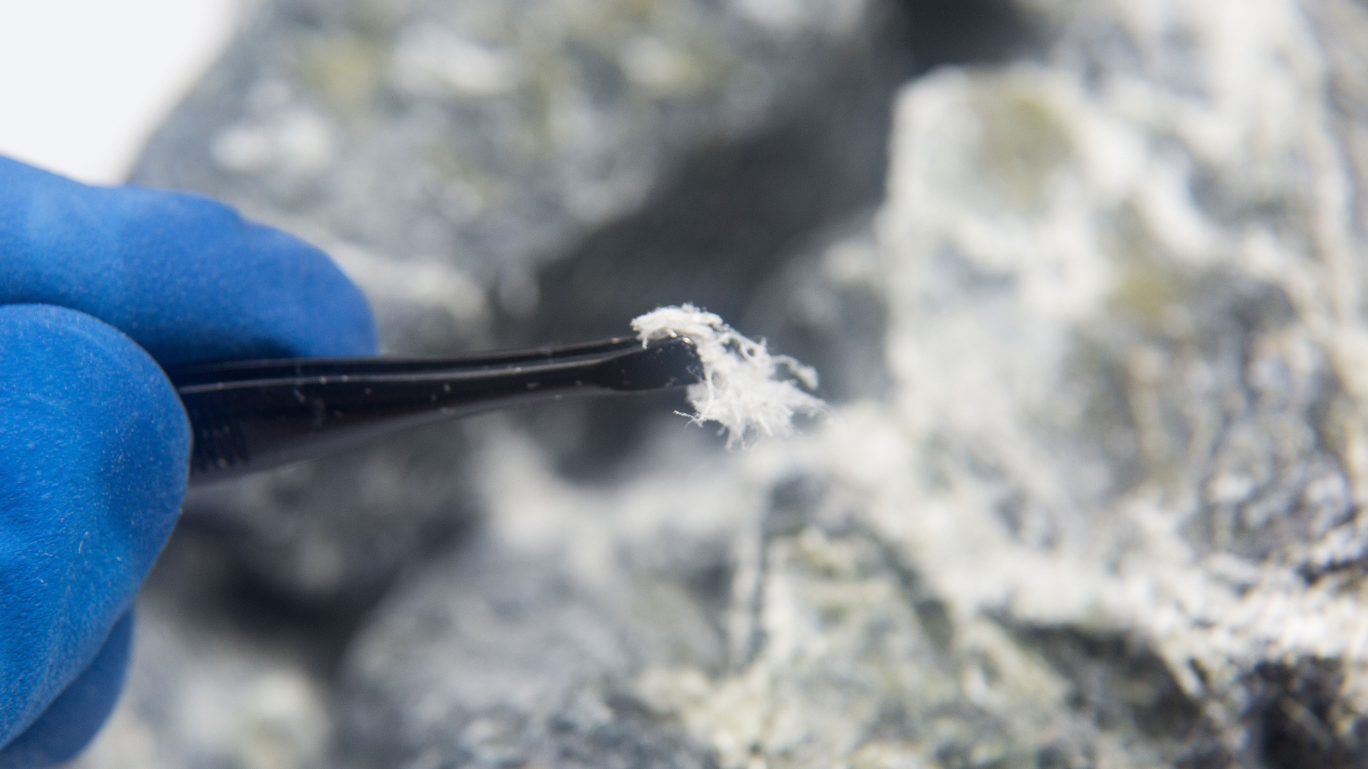 A person is holding tweezers over a piece of rock.