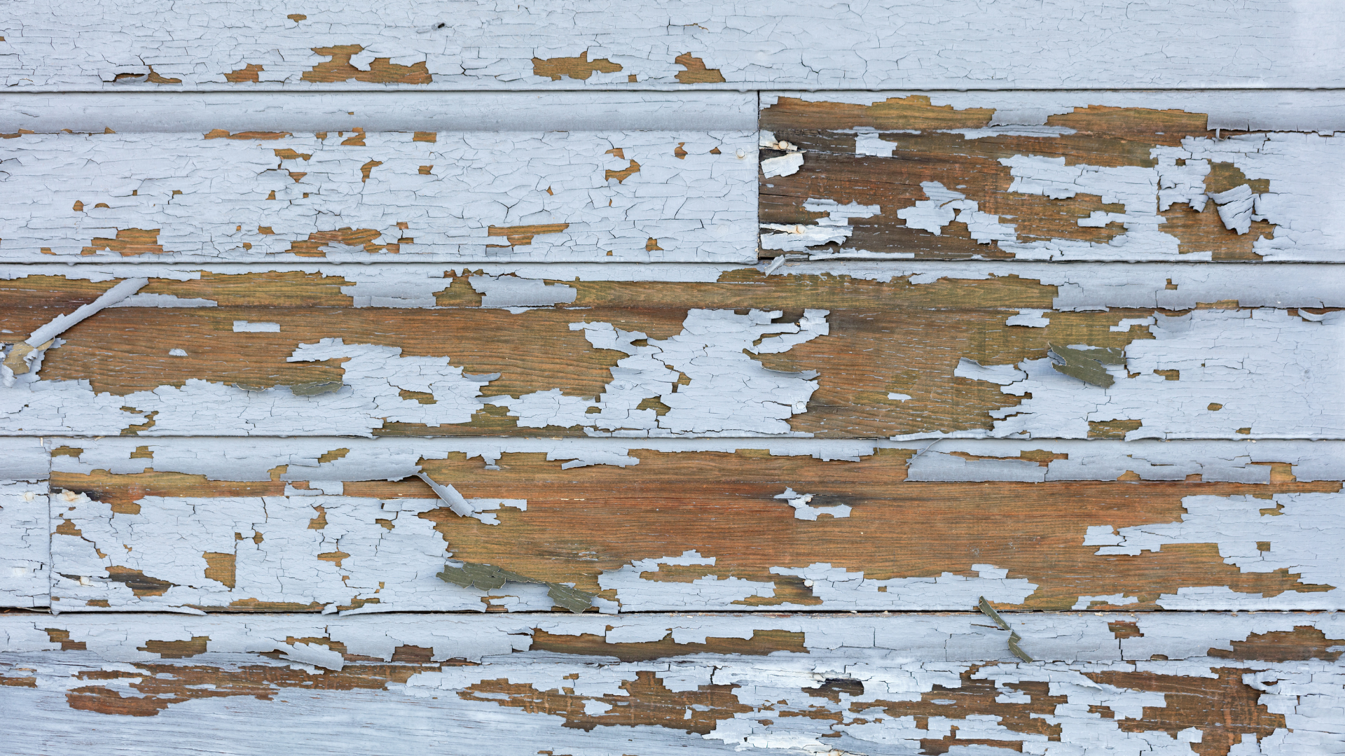 Lead Removal