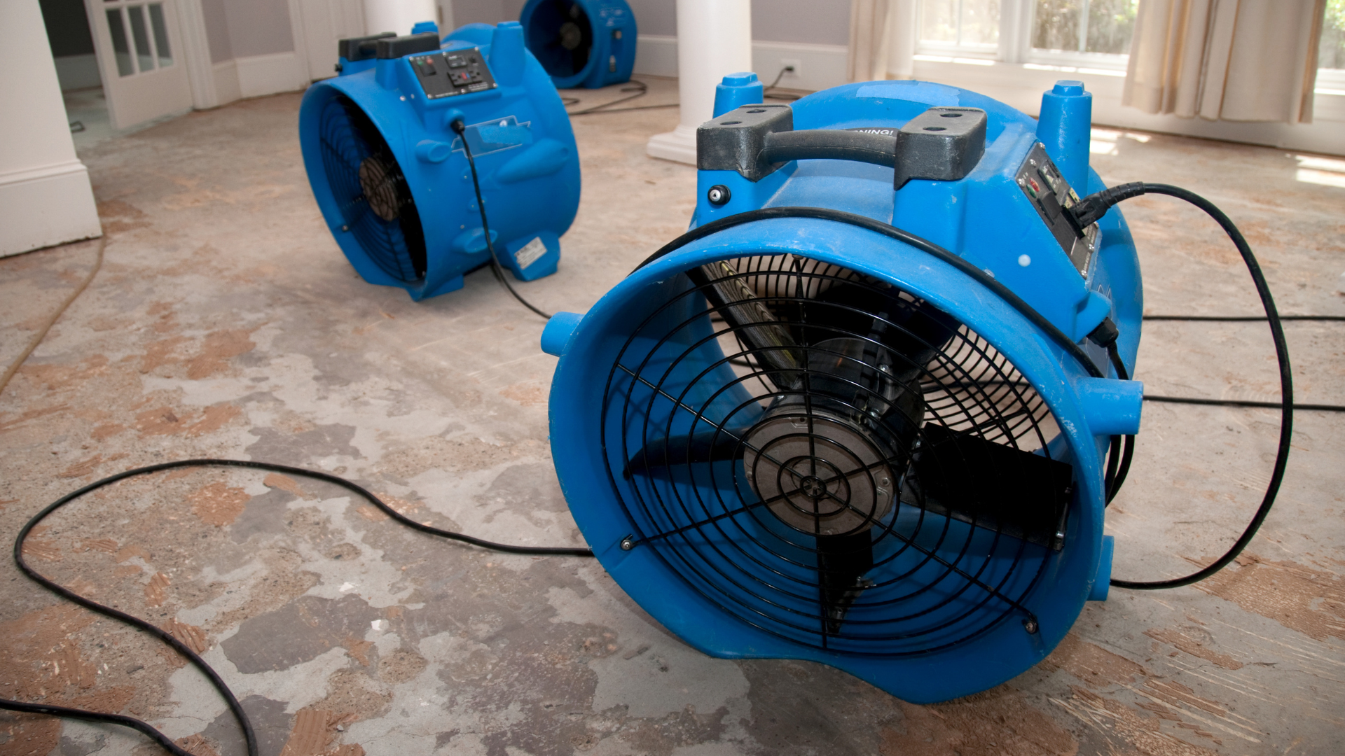 drying moisture after mold remediation