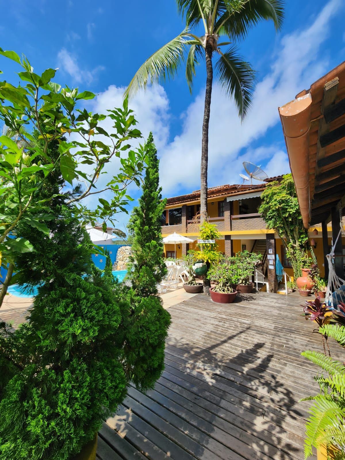 Uma casa com piscina e palmeiras na frente-Pousada-A-Flor-Da-Terra