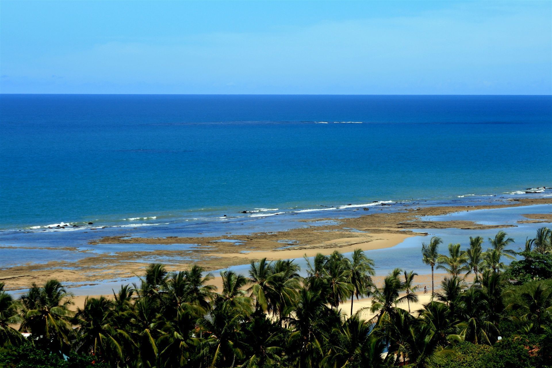 Uma praia com palmeiras e um oceano azul ao fundo-Pousada-A-Flor-Da-Terra