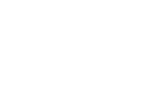 Blank white screen with a thin black line along the bottom edge