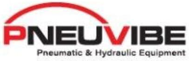 Pneuvibe Logo