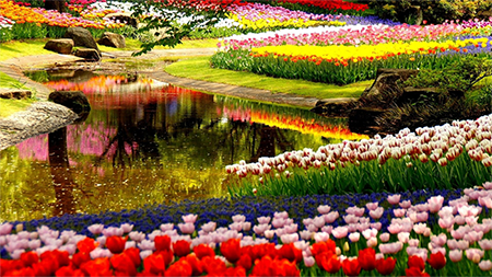 Landscape Landscape