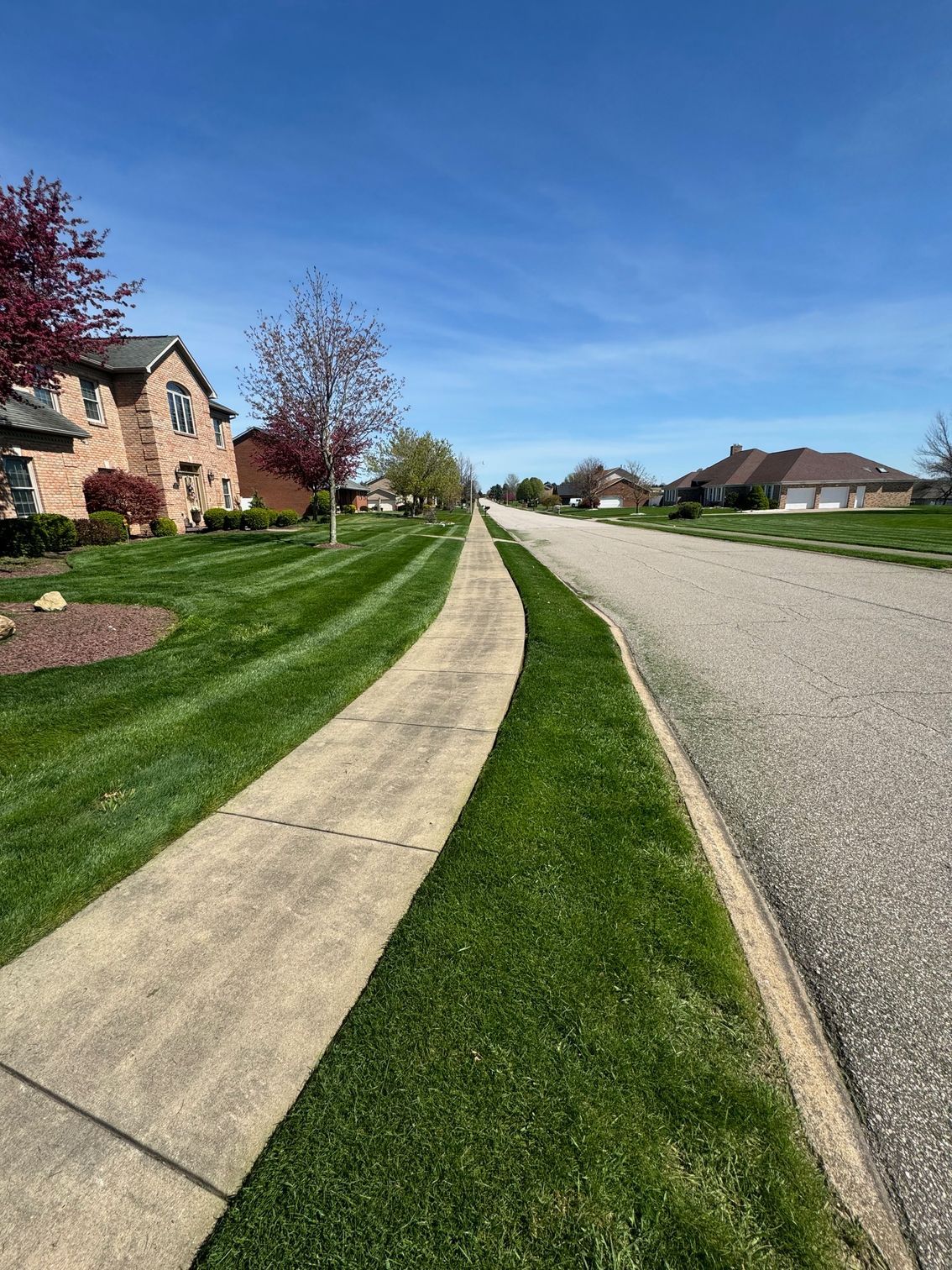 A concrete sidewalk leads past manicured lawns and suburban houses under a clear blue sky.