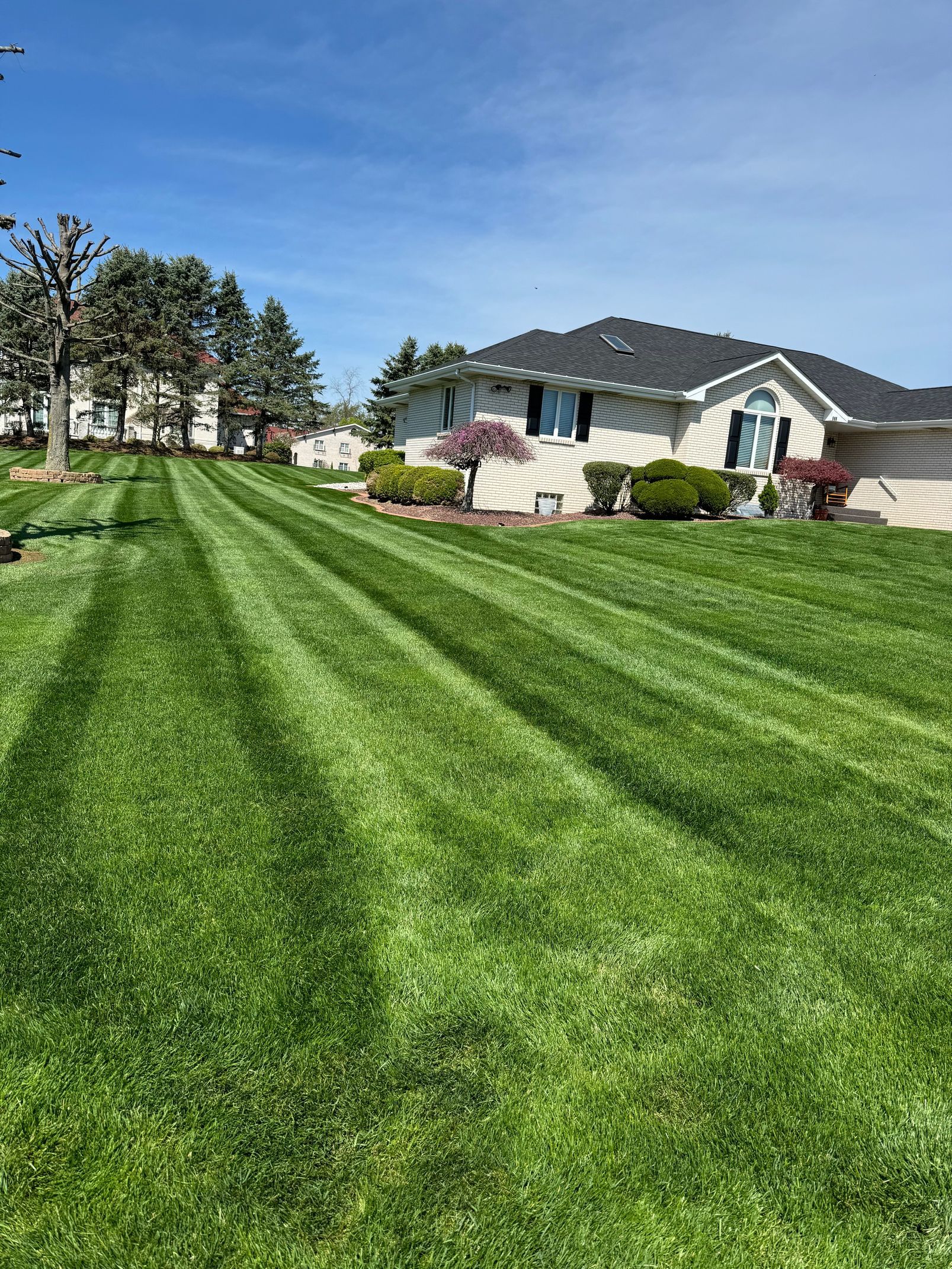 A bright, sunny day showing a residential home with a neatly mowed lawn featuring long, parallel striping patterns.