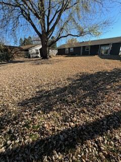 A large tree stands in a yard covered with brown fallen leaves in front of a dark-colored house under a clear blue sky.