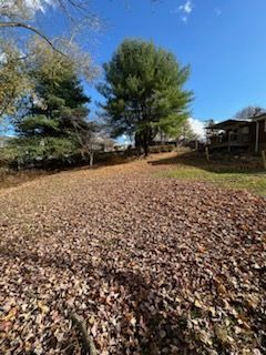 A yard covered in autumn leaves, with tall green trees under a clear blue sky and a house structure in the background.