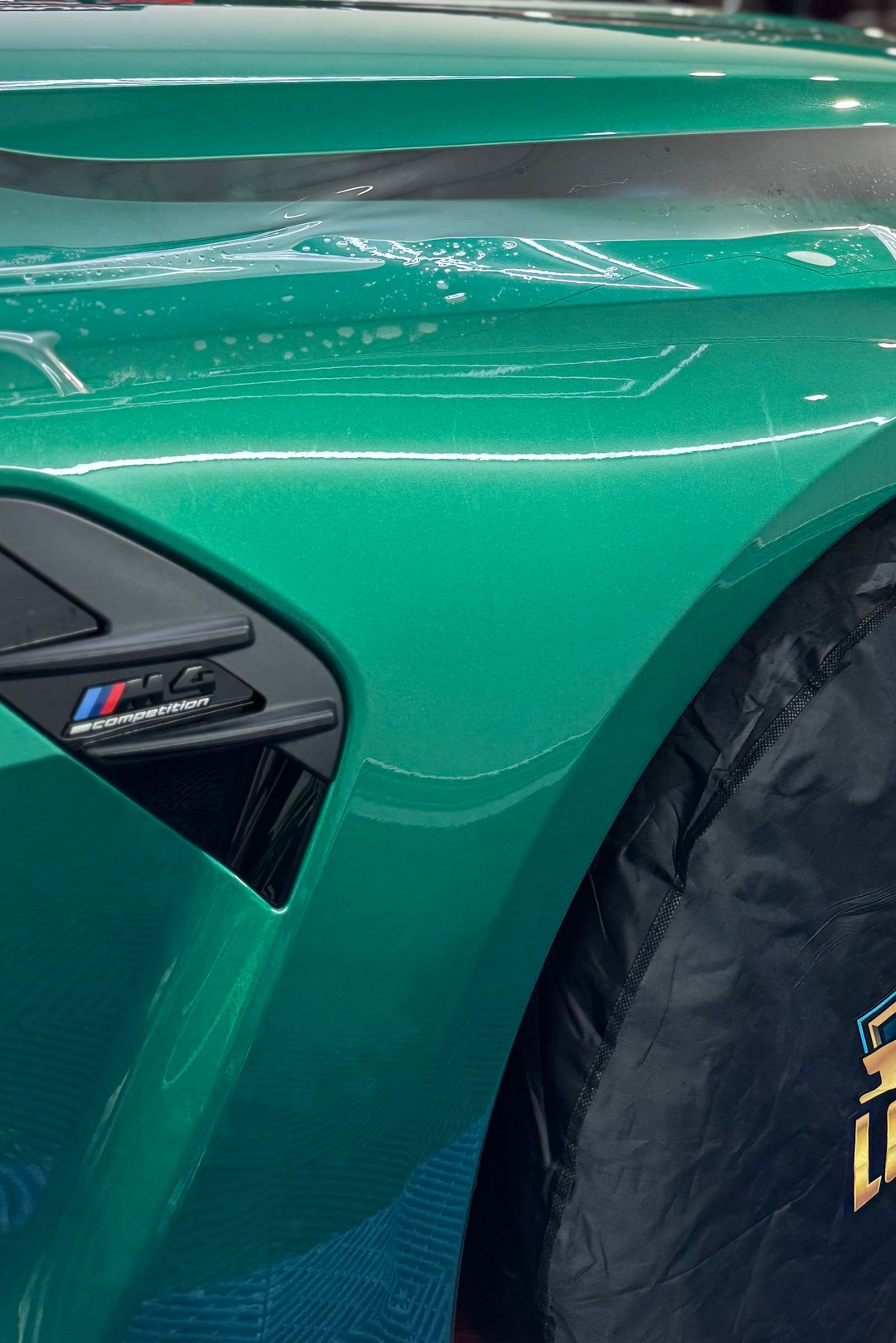 Close-up of a metallic green sports car body with black trim and wheel arch