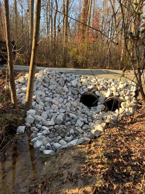 Stone culvert under a roadside embankment beside a wooded stream in winter sunlight