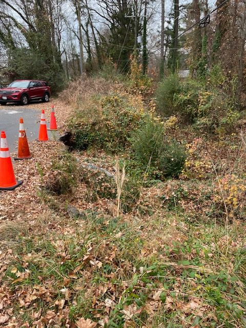 Orange traffic cones on a roadside shoulder beside a red car and overgrown brush in a wooded area