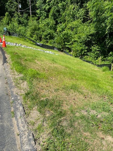 Grassy roadside slope with orange cones, a black pipe, and dense green trees in the background